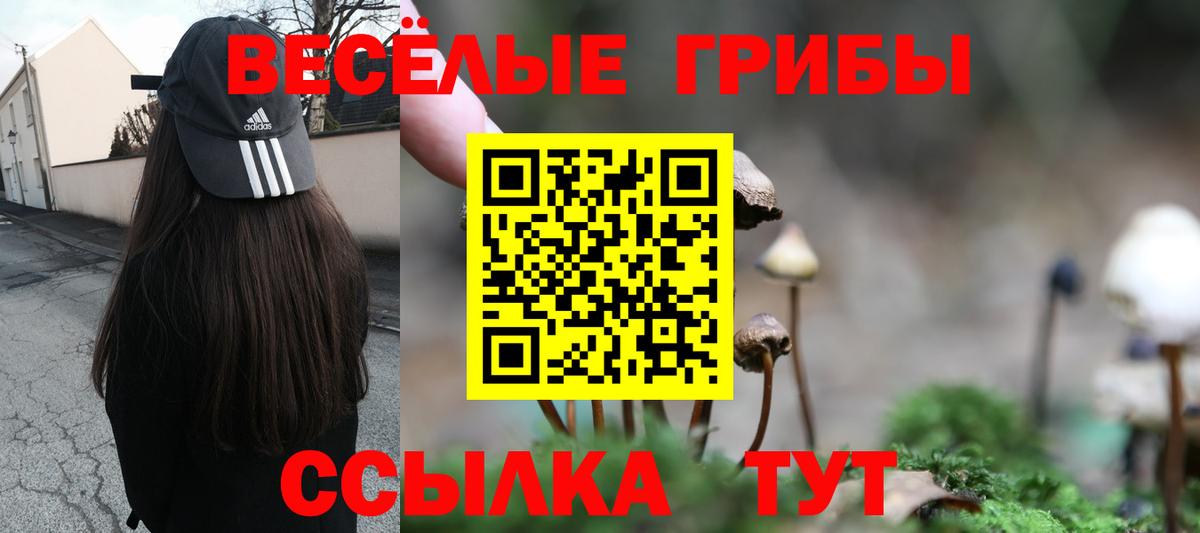 продажа наркотиков  Псилоцибиновые грибы Magic Shrooms  Вход с VPN  Костомукша 
