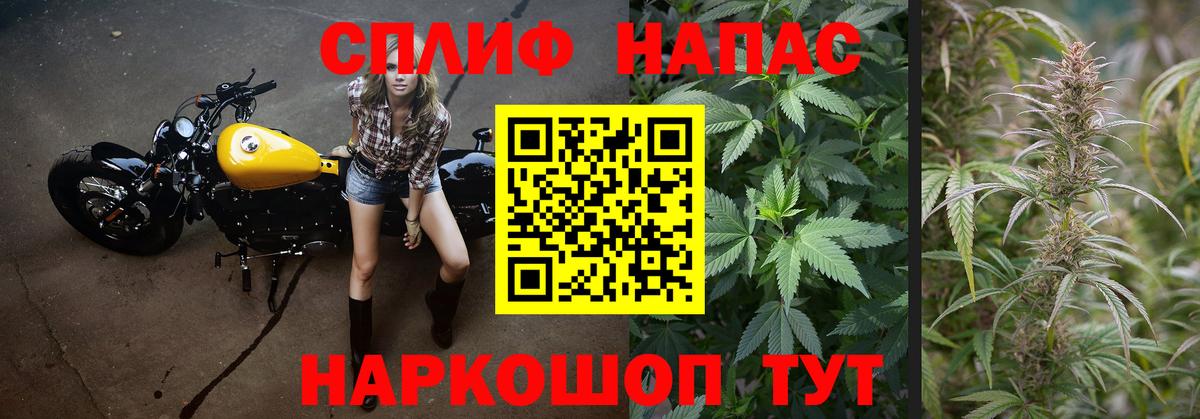 Костомукша  Шишки марихуана планчик  Конопля план  Вход с VPN 